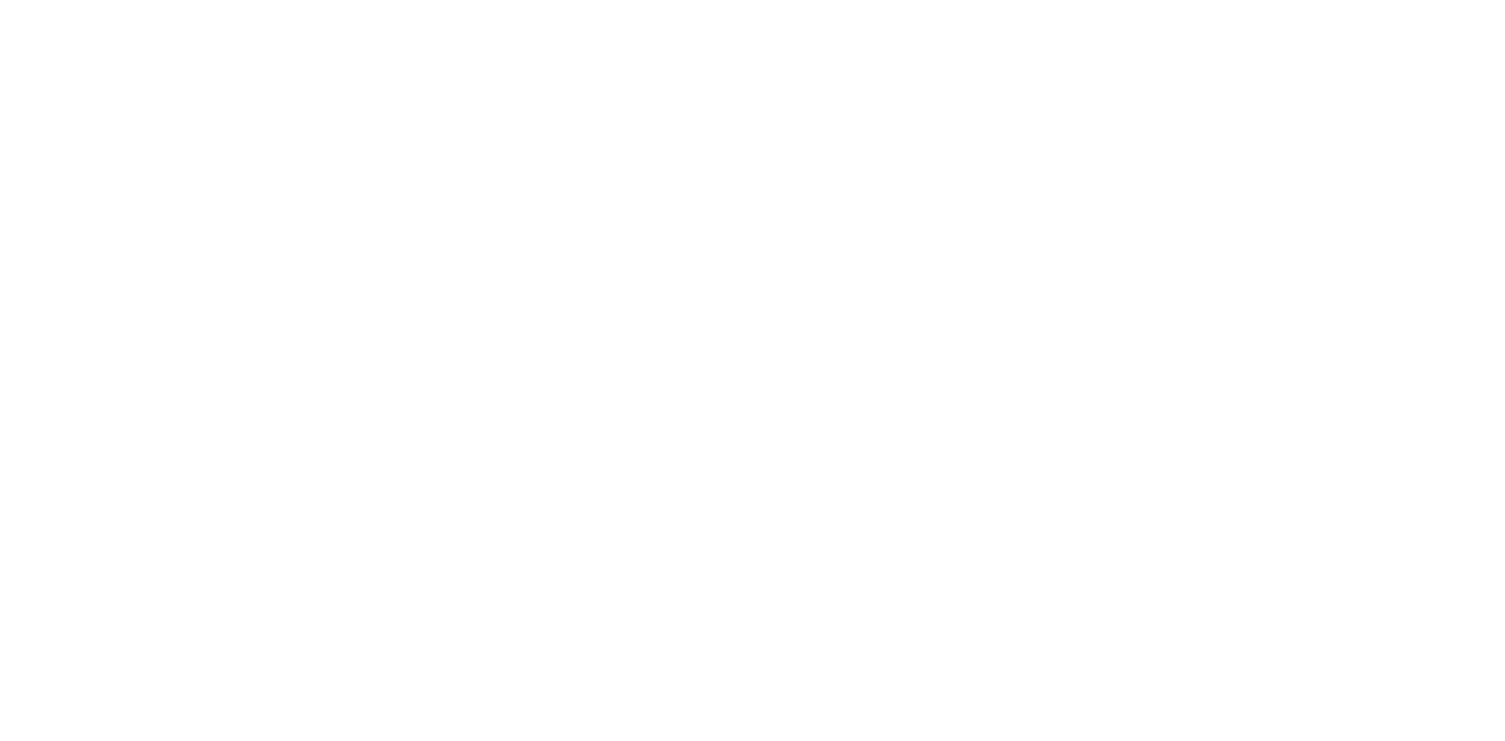 The Last Flight Logo